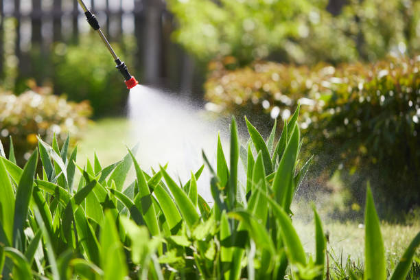 24/7 Emergency Mosquito Control experts in Kearney, NE